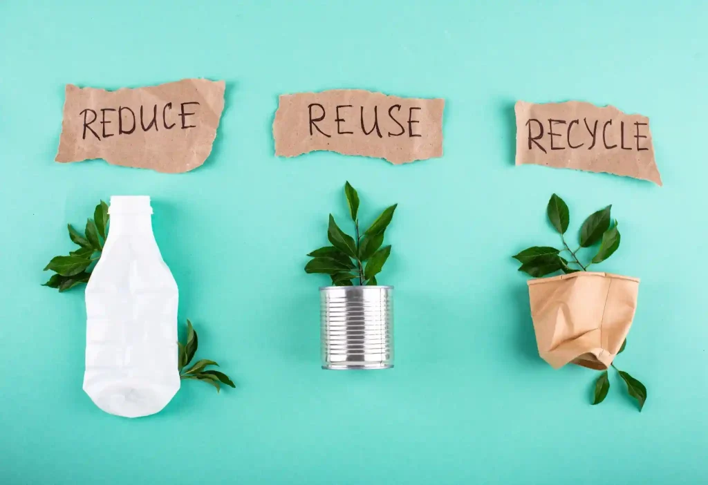 eco friendly practices