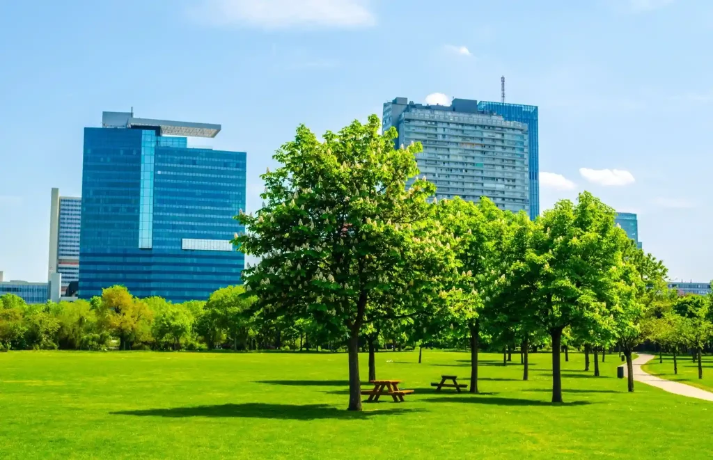 urban tree management