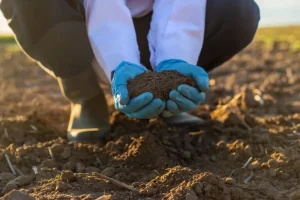 land management practices